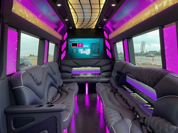 Sprinter limo lounge with TV – Monument party bus rental