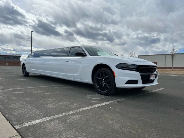 White stretch limo – Monument party bus rental